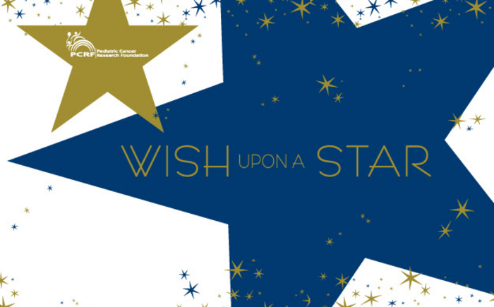 Wish Upon A Star Gala Banner