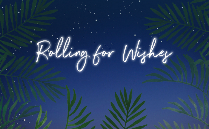 10th Annual Rolling For Wishes Casino Night | Havana Nights Banner