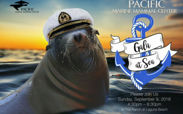 Pacific Marine Mammal Center "Gala at Sea"! Banner