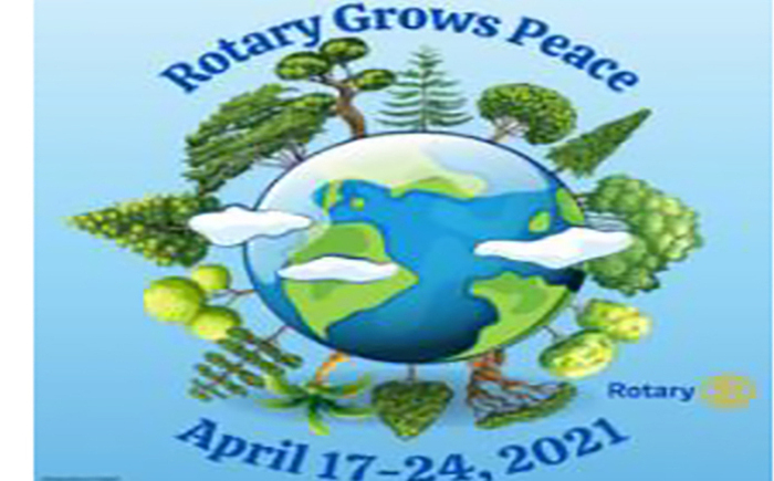 Rotary Grows Peace Community Project Banner