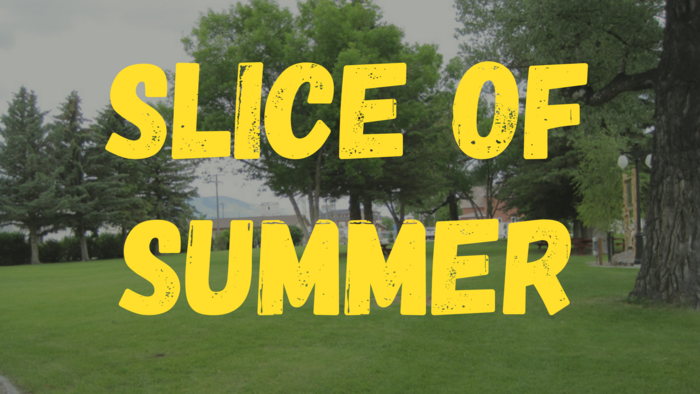 Slice of Summer Banner
