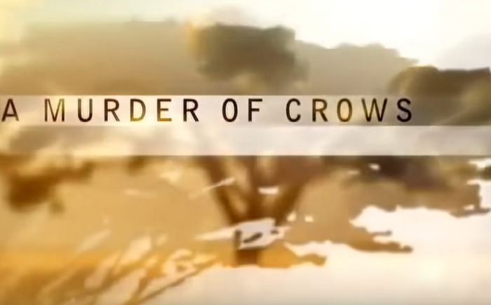 Murder of Crows movie fundraiser Banner