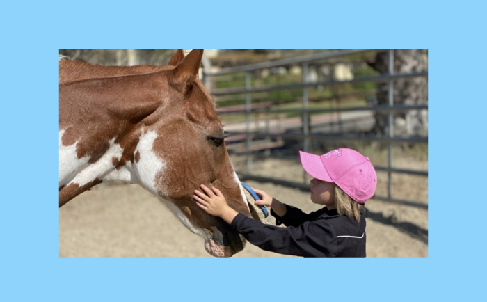 Learning with Horses (Ages 7 to 12) Banner