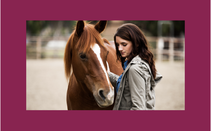  One on One Sessions |Equine Therapy Banner
