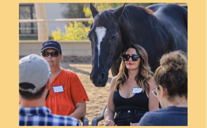Meditation with Horses - Sunday April 14th Banner