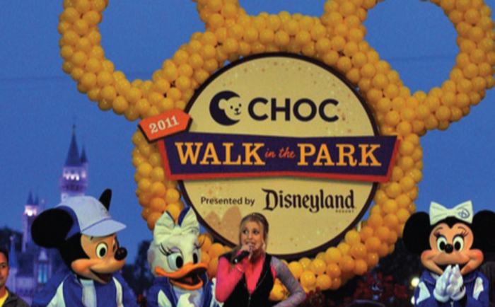 CHOC Walk - FLOC Team Banner