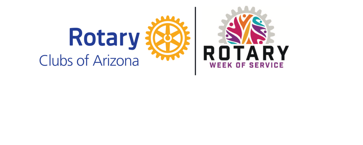 Rotary District 5495 Banner