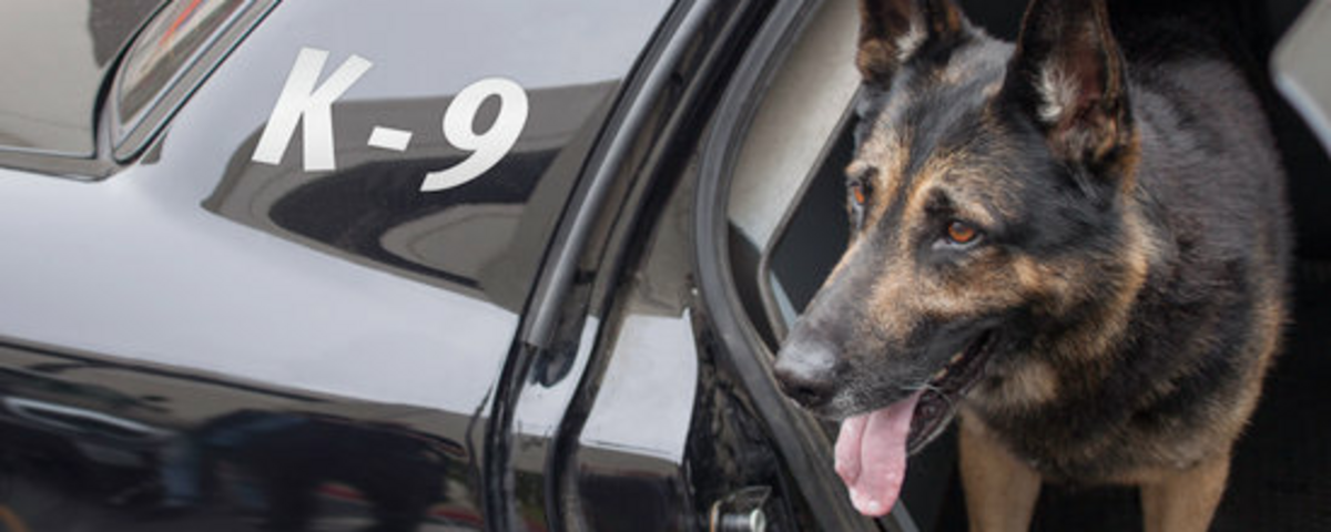 National Police Dog Foundation Banner